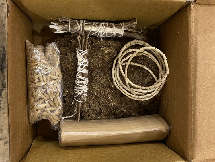 ANTESHTI KIT